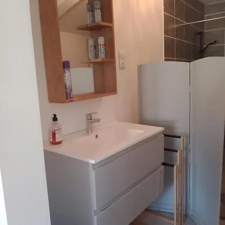 Aparthotel Chambre-studio En Rez-de-jardin